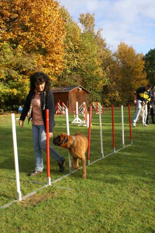 agility 2011-10-30
